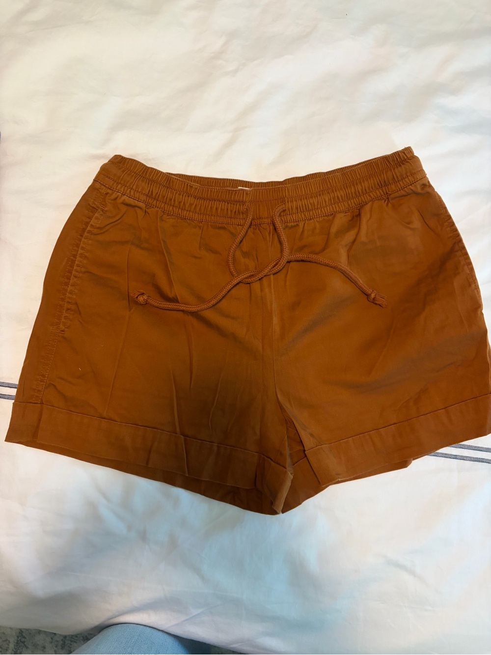 Ann Taylor + Lou & Grey Women’s Drawstring Casual Shorts in Rust